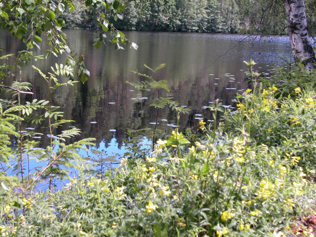 Setertjern på Frambu med natur