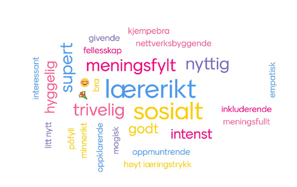Ordsky om hva deltakerne syntes om kurset